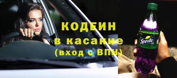 трава Коряжма