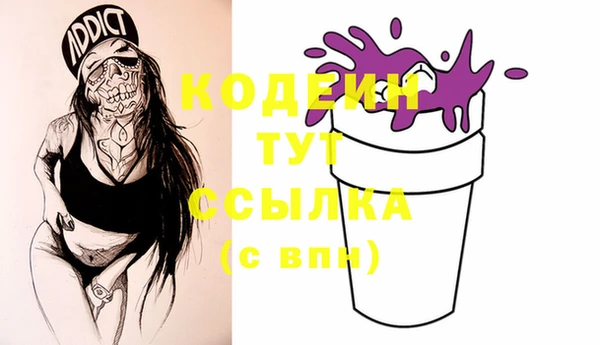 индика Корсаков