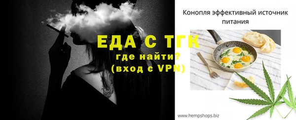 индика Корсаков
