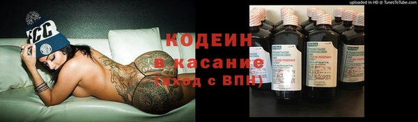трава Коряжма