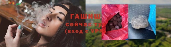 трава Коряжма