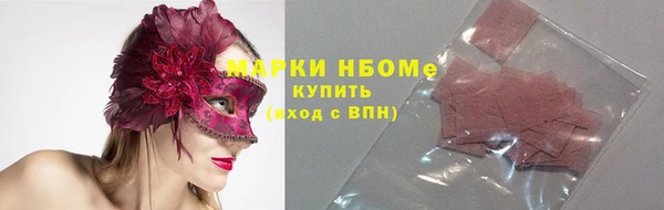 трава Коряжма