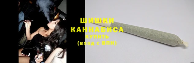 трава Коряжма