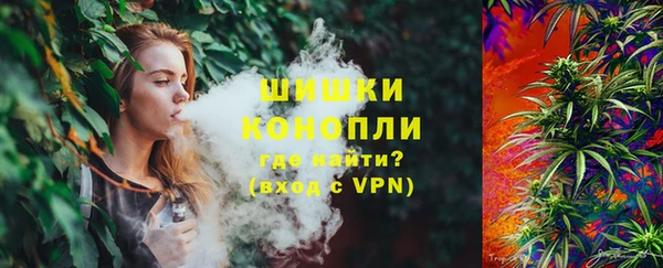 трава Коряжма