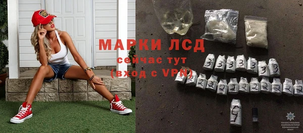 трава Коряжма
