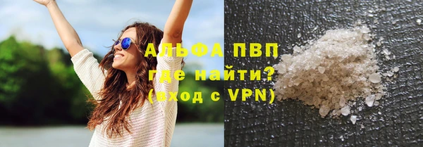 трава Коряжма