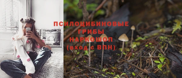 трава Коряжма