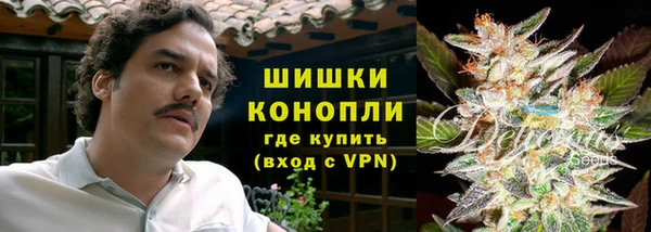 дживик Козловка