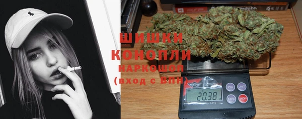 трава Коряжма