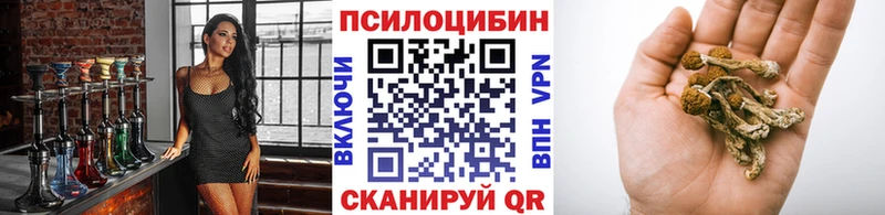 Галлюциногенные грибы Cubensis  Купить где  Лысково 